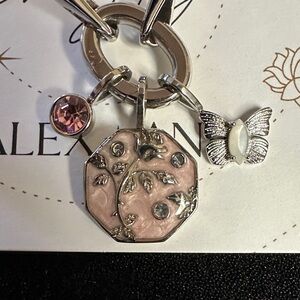 Alex and Ani Transformation Multicharm Interchangeable Bolo Bracelet 🆕